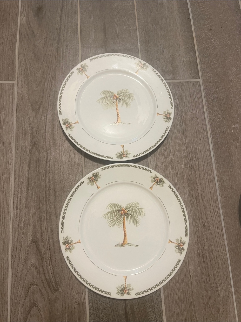 2x Gibson Designs BAHAMA Palm Tree Motif Green Zig-Zag Bands Dinner Plates 10.5